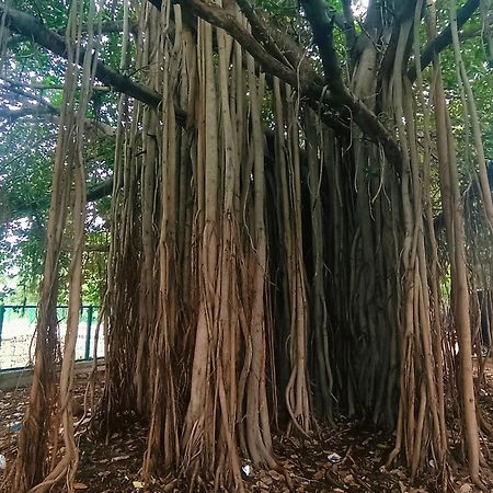 Hampi Anjana Home Stay Eksteriør billede